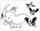 Dumbo Coloring Pages Crows Flying Disneyclips Timothy sketch template