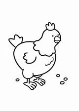 Huhn Malvorlage Herunterladen sketch template