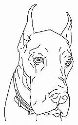 Coloring Pages Dog Dane Great Choose Board Drawing Coloringpagesfun sketch template