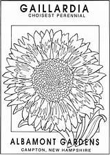 Coloring Flower Seed Packets Pages Vintage Doverpublications Publications Dover Book Drawing Bigger Drawings Make Click Welcome Zb Samples Choose Board sketch template