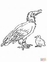 Dodo Bird Coloring Chick Pages Color Printable Colorings Drawing Getcolorings Supercoloring sketch template