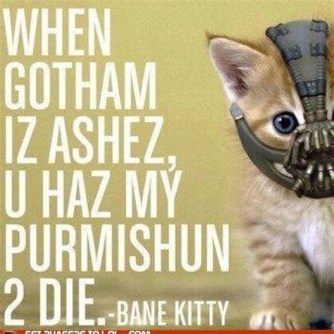 Pin By Florence Lee On Fuzzies Bane Kitty Kitty Images