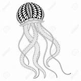 Jellies Jellyfish Designlooter sketch template