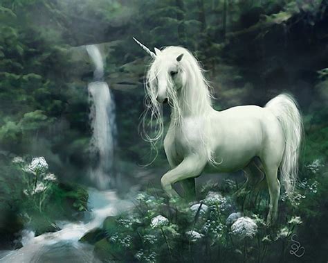 Unicorn Wallpaper • White Unicorn Wallpaper Fantasy