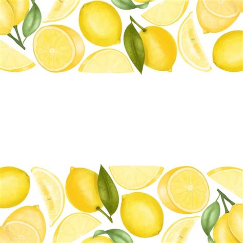 premium vector borders  hand drawn lemons illustration background