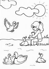 Ducks Farm Tulamama Worksheeto sketch template