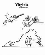Vermont sketch template