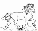 Colorare Frisone Paard sketch template