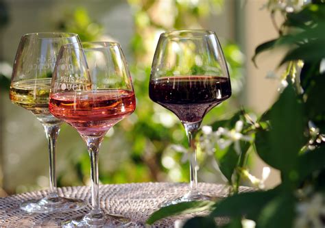 vins de provence decouvrez les meilleurs produits de notre terroir