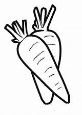 Carrot sketch template
