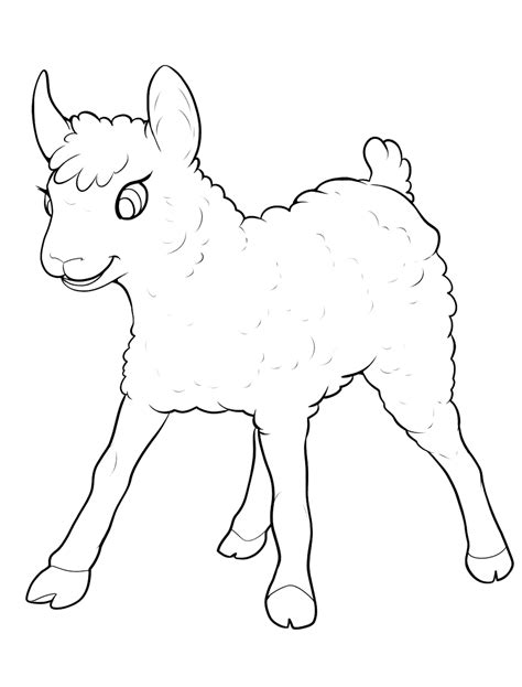 coloring page  lamb  fun