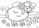 Sheep Supercoloring sketch template