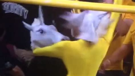 arizona state is using a wild unicorn sex party to distract free throw shooters
