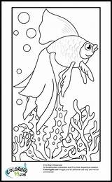 Coloring Pages Goldfish Printable Kids Colors July Team Ministerofbeans sketch template