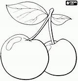Coloring Pages Fruit Printable Fruits Cherries Color Choose Board Discover sketch template