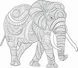 Elephant Colouring Coloringfolder sketch template