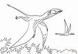 Jurassic Druku Kolorowanki Dimorphodon Colorare Pteranodon Kolorowanka Pterodactyl Dinozaury Ausmalbild Flugsaurier Dibujos Disegni Tarbosaurus Dinosaur Ausdrucken Pterodáctilo Dinosaurier Kostenlos sketch template