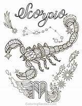 Coloring Scorpio Pages Zodiac Adult Scorpion Printable Adults Coloringgarden Signs Mandala Colouring Sign Printables Sheets Book Horoscope Books Tattoo Journal sketch template