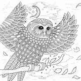 Uil Kleurplaten Owl Kleurplaat Ontwerpen Mooie Uitprinten Downloaden 123rf Terborg600 Vogel sketch template