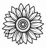 Girasole Layered Sunflowers Lineare Illustrazione Illustrazioni sketch template