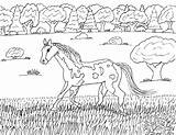 Horse Paint American Coloring Pages sketch template