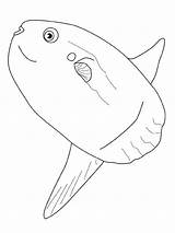 Vissen Kleurplaten Fisch Peixes Poisson Dieren Mewarnai Ikan Poissons Peixe Lua Pesce Pesci Animasi Gify Bergerak Animaatjes Malvorlage Downloaden Ryby sketch template