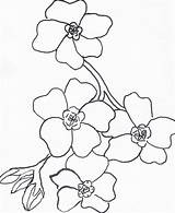 Forget Drawing Nots Flowers Skillshare Projects Flower sketch template