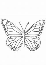 Coloring Butterfly Pages sketch template