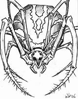 Spider Scary Drawing Paintingvalley Getdrawings Drawings sketch template