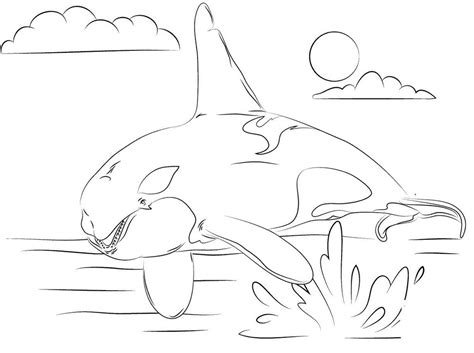 adorable killer whale coloring pages  kids coloring pages