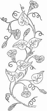 Morning Vines Ingalls 1888 Flower Fiz Retalhos às Glories sketch template