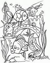 Coloring Fish Pages Tank Aquarium Tropical Printable Drawing Adult Sheets Adults Realistic Detailed Colouring Clipart Kid Book Water Kids Sports sketch template