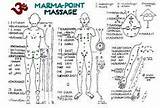 Marma Massage Therapy Ayurveda Points Pressure Chart Body Point Ayurvedic Puntos Techniques Do Reflexology Tips Dublin They sketch template