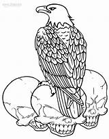 Eagle Coloring Bald Pages Printable Drawing Head Kids Line Sheets Getdrawings Cool2bkids Bluegill sketch template
