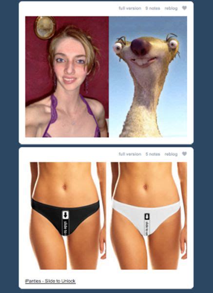 funny tumblr dashboard coincidences 49 pics