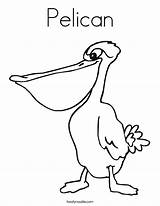 Coloring Pages Pelican Pelicans Name Worksheet Orleans Print Color Twistynoodle Printable Noodle Bird Outline Built California Usa Twisty Favorites Login sketch template