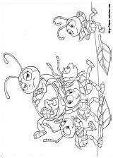 Bichos Bugs Inseto Pintar Colorat Insecto Insekt Planse Ant Ants Momjunction sketch template