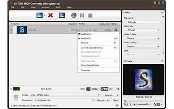 ImTOO DVD to MP4 Converter screenshot #4