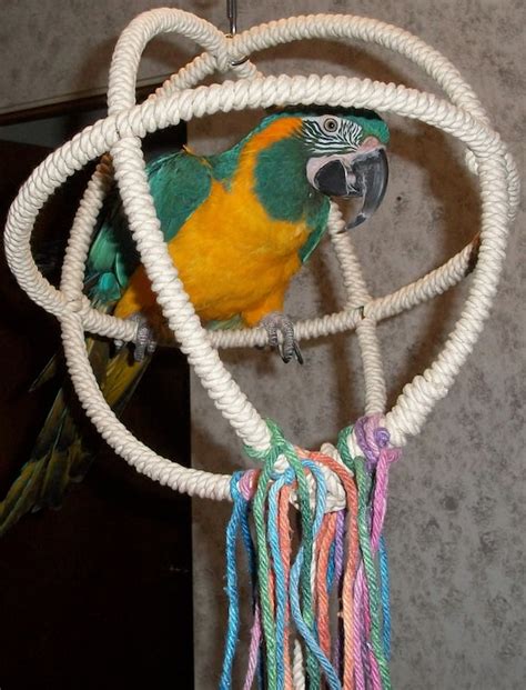 large parrot swings decoration examples