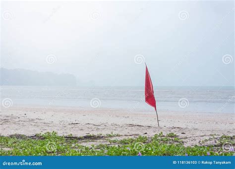warning sign  red flag  beautiful beach stock image image  holiday oceanside