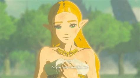 A Strong Female Playable Character In Legend Of Zelda