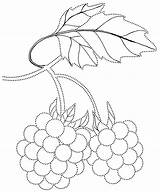 Colorkid Berries Handicraft sketch template