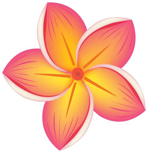 tropic flowers clipart   cliparts  images  clipground