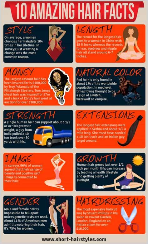 amazing hair facts daily infographic