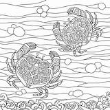 Crab Verbnow Crabs sketch template