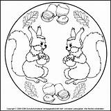 Mandala Ausdrucken Kostenlos Mandalas Herbst Bild Einhorn Eekhoorntjes Bastelvorlage Igel Druckbare Genial Ausmalbilder Mandales Tardor Lass Downloaden sketch template