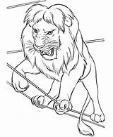 Lion Circus Coloring Walking Rope Drawing Pages Color Colorluna Getdrawings Luna Colouring sketch template