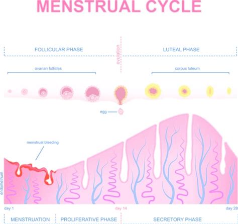 how to detect implantation bleeding