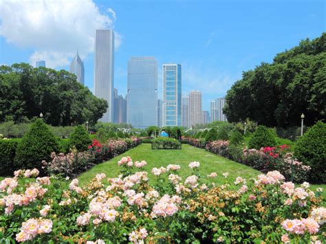 beautiful gardens  chicago beautiful gardens grant park  beautiful gardens