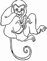 Affe Ausmalbilder Banane Futtert Affen Zeichnen sketch template